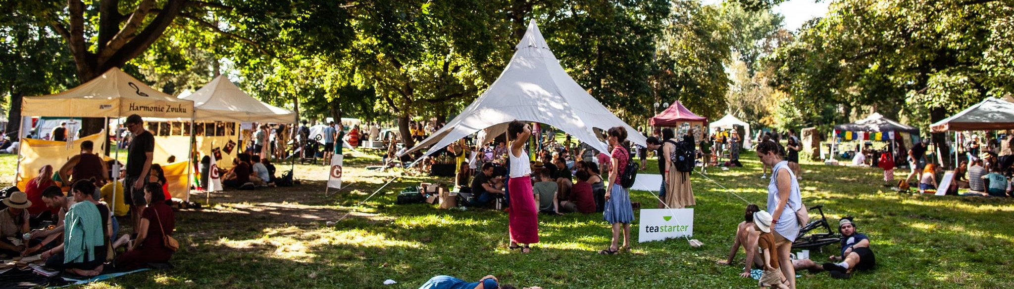 fest-registrace